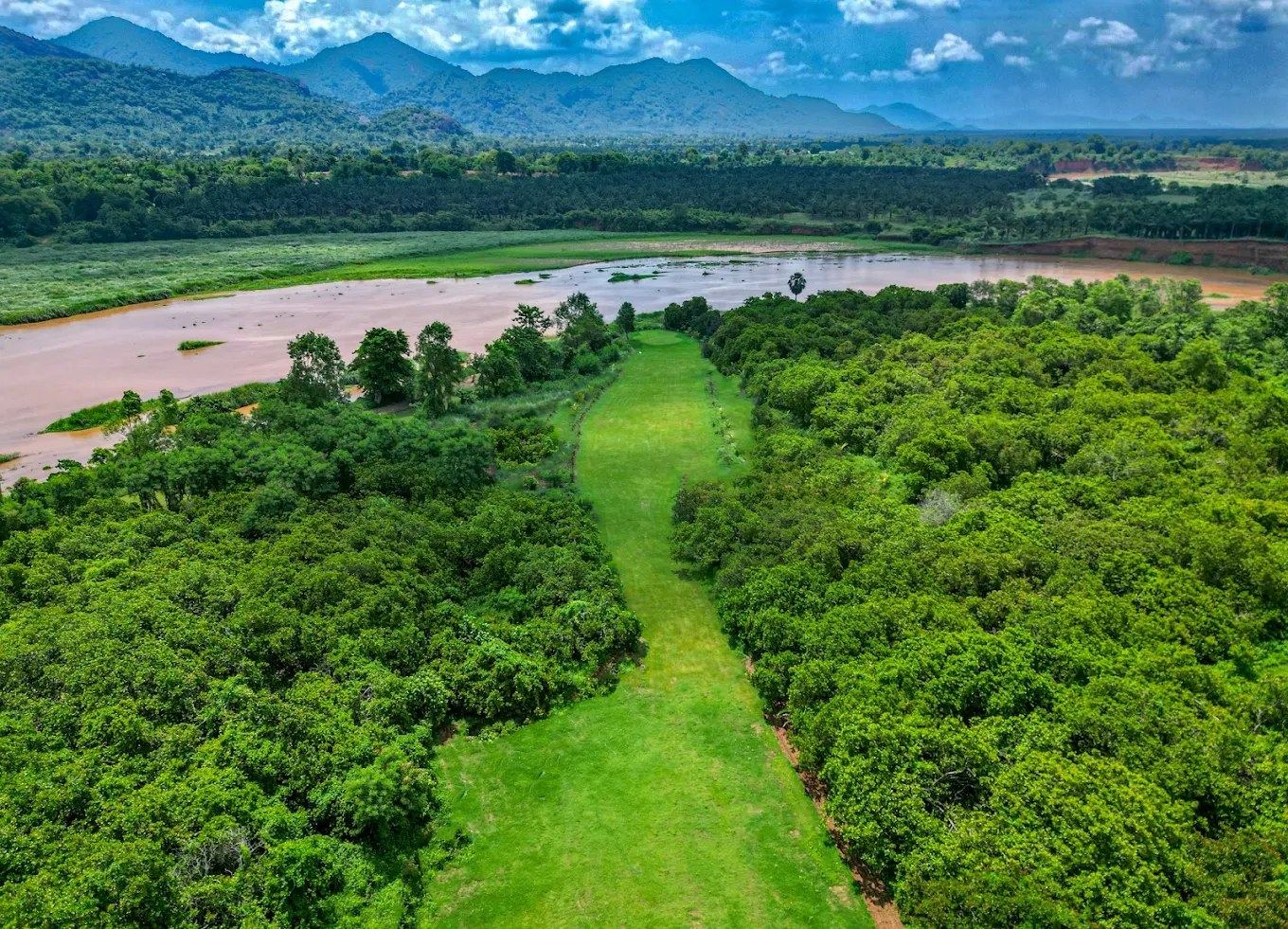 Aerial view of the Nagavalli River and the estate's forest, with the Eastern Ghats behind